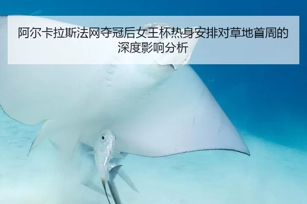 阿尔卡拉斯法网夺冠后女王杯热身安排对草地首周的深度影响分析